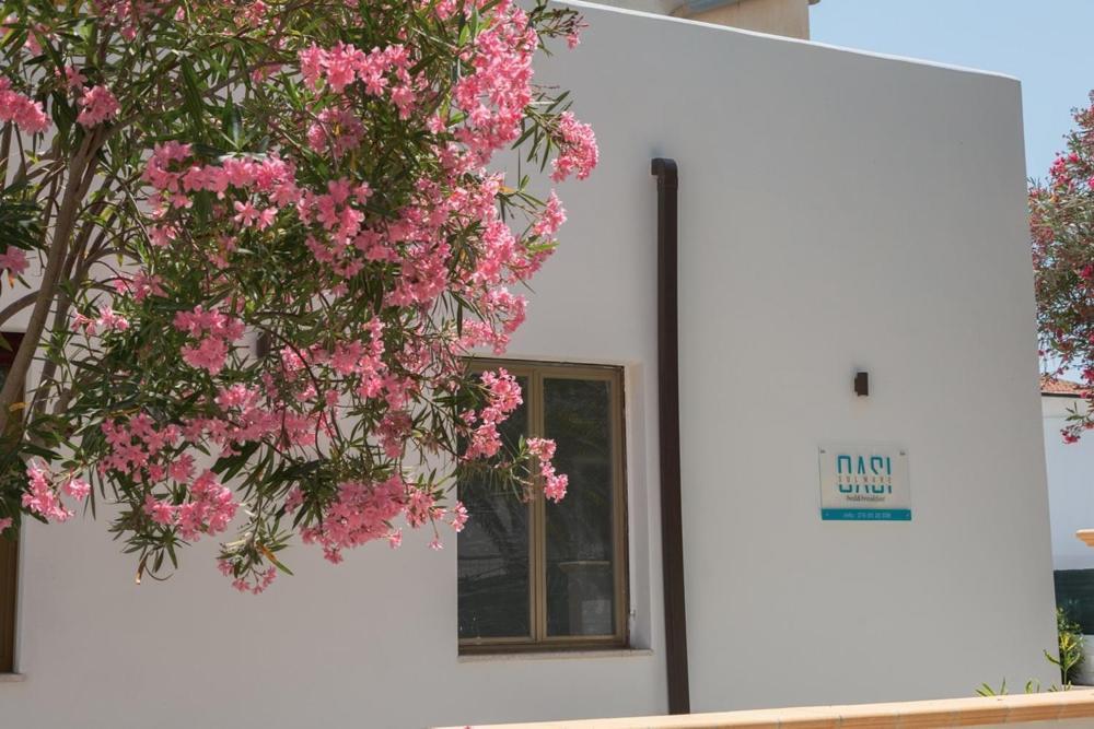 B&B Oasi Sul Mare San Salvo Marina Ngoại thất bức ảnh